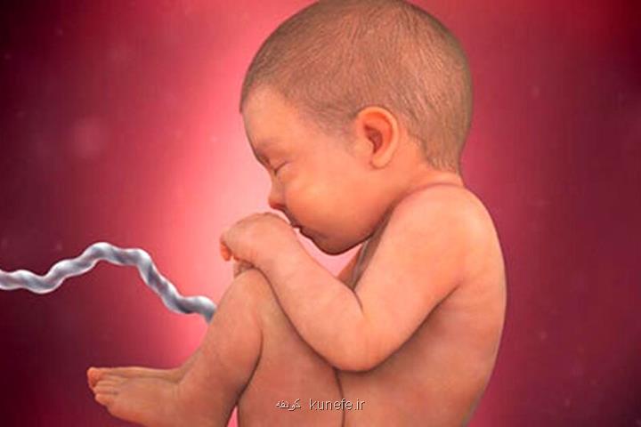تصمیم عجیب وزارت بهداشت مجوز تولید و واردات کیت های غربالگری سه ماهه اول حاملگی متوقف شد؟