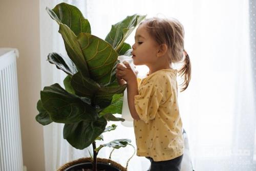 هشدار به والدین این ۸ گیاه سمی و خطرناک را بشناسید