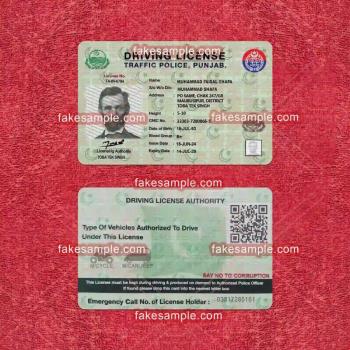 Saudi Arabia Driver Licence Fake Template