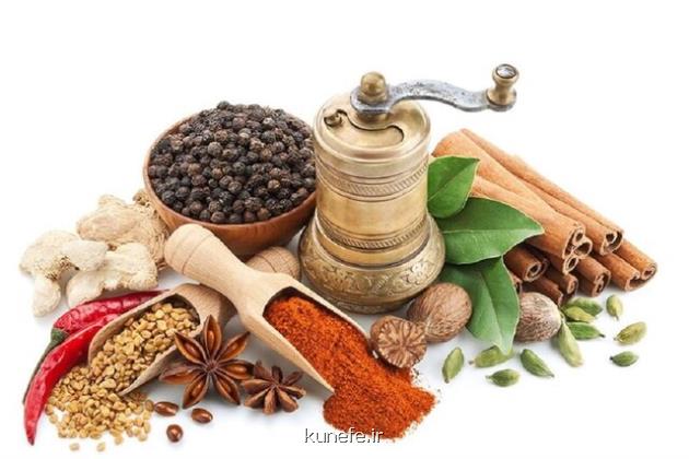 دومین کنگره ملی طب ایرانی، بستری برای تبادل علمی در این زمینه