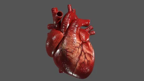 یک راز غذایی که خطر مبتلاشدن به بیماری قلبی را می کاهد