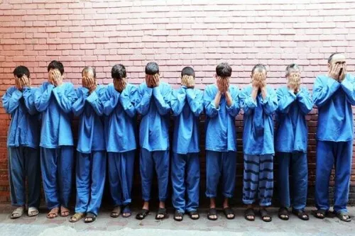 باند مسلح طلافروشی ها پیش از فرار به دام افتاد