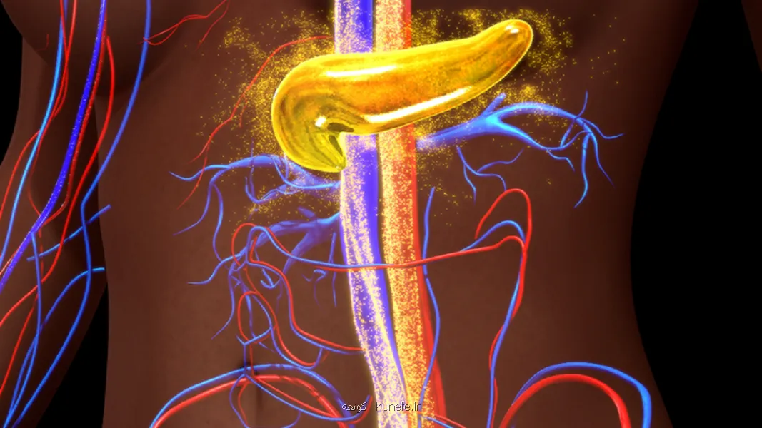 کشف نویدبخشی که می تواند دیابت را پیش از شروع متوقف نماید